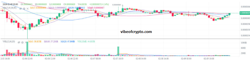 SHIBA Burns Hit Zero SHIB Price Shibarium Update Feb 2026