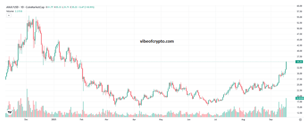 avax surges