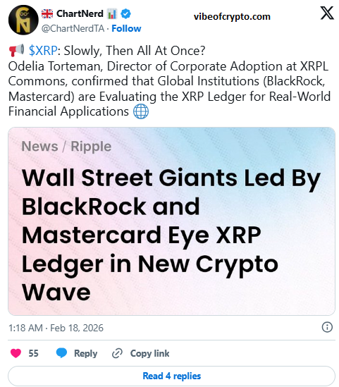 What being Explored & What Isn’t Confirmed Yet