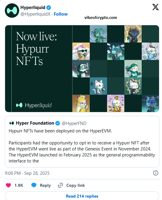 hyper foundation