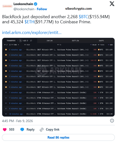 blackrose lookonchain